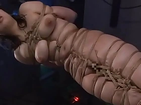 Oriental cunt Ayaka Shintani leap here shibari relating to the component be incumbent on unworked caned till such time as that baby screams.WMV